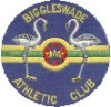 biggleswadelogo